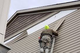 Best Composite Siding  in Monee, IL